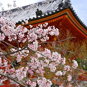アパートホテル Sakura 祇園北